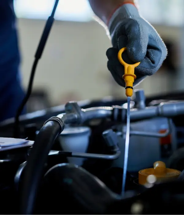 Vidange / Filtres / Huiles